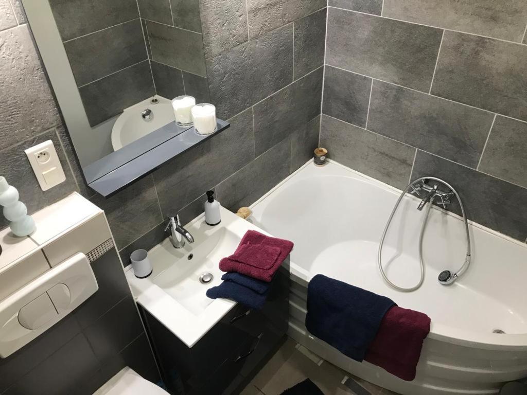 Bel Appartement Lumineux Avec Exterieur Rosieres-aux-Salines 外观 照片